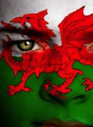 Welsh Flag Face Paint
