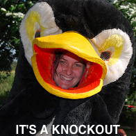 Its A Knockout Costume