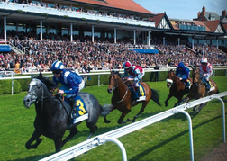 Horse Racing in Chester