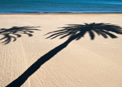 Valencia Beach with palm tree shadows