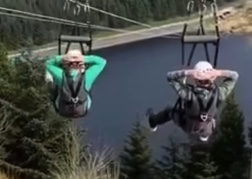 Zipwire Stags