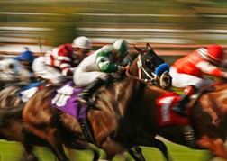 Horses Racing