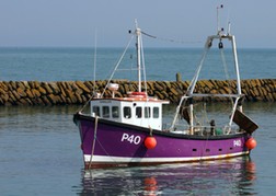 Sea Fishing Boat in Dock