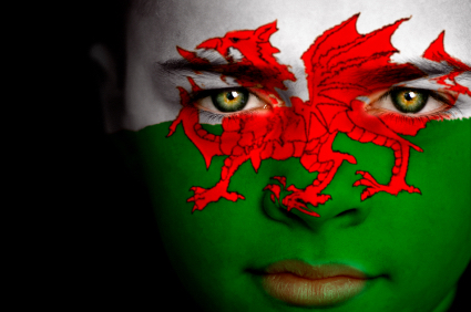 Girl with Wales Flag face paint
