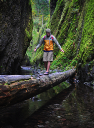 Man walking across a huge tree whilst Canyoning