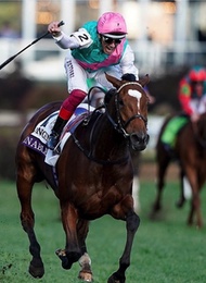 Ascot Horse Racing Rider With Pink Hat