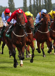 Horse Racing in Newbury