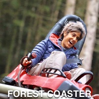 A Hen on the Forest Coaster
