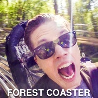 A Stag On The Forest Coaster In North Wales
