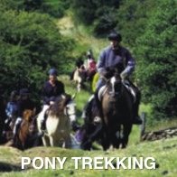 Pony Trekking
