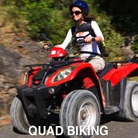 Quad Biking Hen