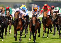 Ascot Horse Races 