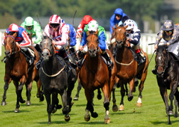 Ascot Horse Races