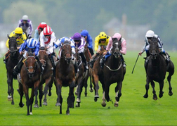 Horse Racing At Ascot Racecourse