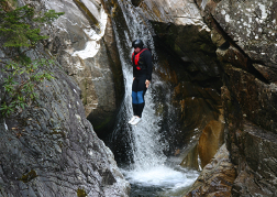 Man Cliff Jumping