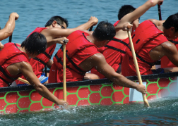 Dragon Boat Racing