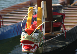 Dragon Boat Racing