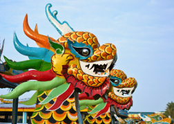 Dragon Boats