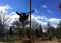 High Adventure Bristol Hen on Swing