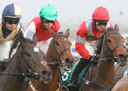 Horse Racing Aintree