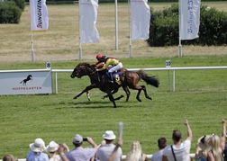 Horse Racing Berlin