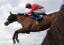 Horse Racing - Horse Jumping