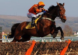 Chepstow Horse Racing