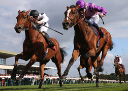 Horse Racing Haydock Park