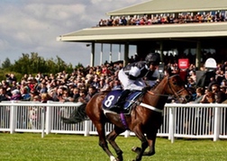 Horse Racing Hereford