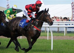Horse Racing Newton Abbott