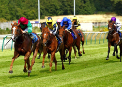 Horse Racing Nottingham