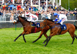 Horse Racing Nottingham