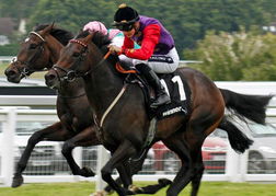 Horse Racing Sandown Park