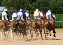 Horse Racing in Wolverhampton