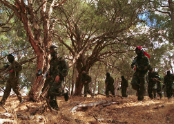 Stag Group playing paintball