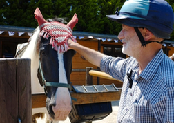 Man stroking horse