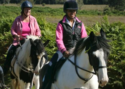 Pony Trekking in Bournemouth