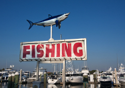 Shark Fishing Sign