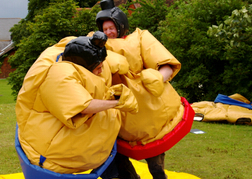 Sumo Wrestling