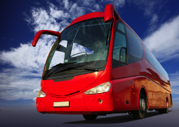 Red Executive Coach