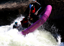 White water rafting group in a purple raft almost tipping over