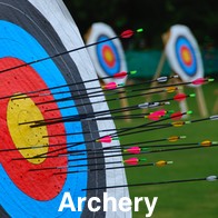 Archery Targets with Arrows