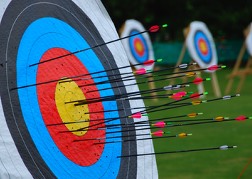 Archery Target