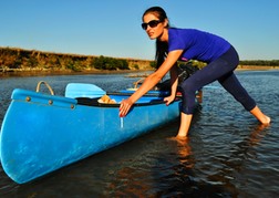 Hen from a hen group Going Canoeing