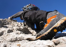 Stag Climbing