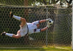 Stag Saving A Goal