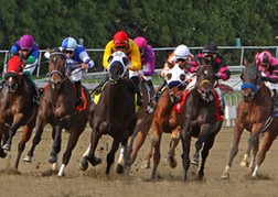 Horse Racing