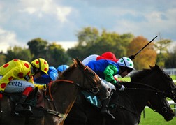 Cheltenham Horse Racing