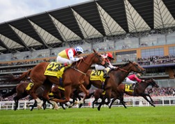 Ascot Horse Racing