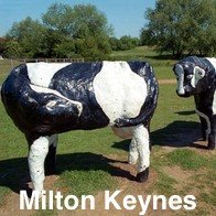 Milton Keynes Concrete Cows